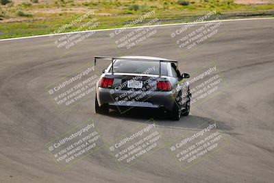 media/Feb-25-2024-Speed Ventures (Sun) [[b9a2a97a4d]]/Mustang Drivers Club/Session 1 (Turns 4 and 5)/